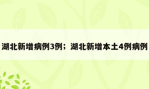 湖北新增病例3例；湖北新增本土4例病例