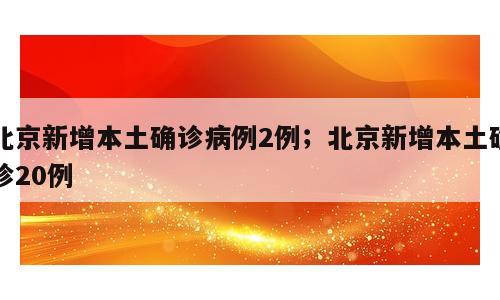北京新增本土确诊病例2例；北京新增本土确诊20例