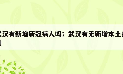武汉有新增新冠病人吗；武汉有无新增本土病例