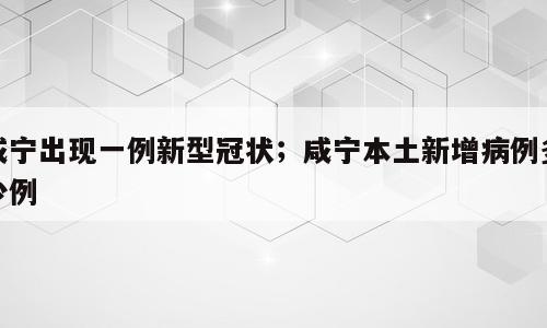 咸宁出现一例新型冠状；咸宁本土新增病例多少例