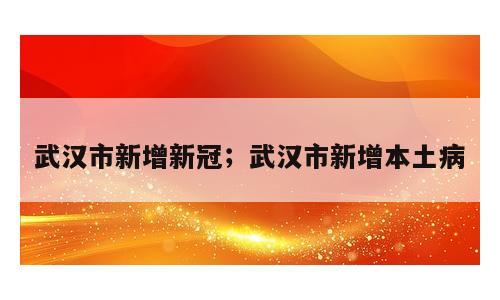 武汉市新增新冠；武汉市新增本土病