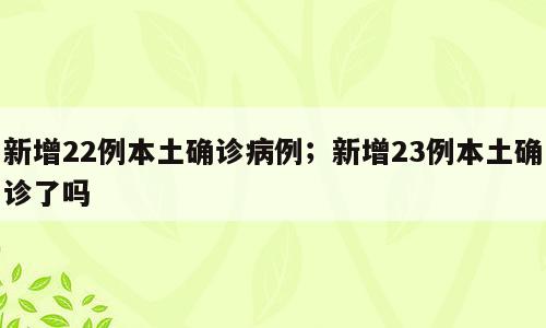 新增22例本土确诊病例；新增23例本土确诊了吗
