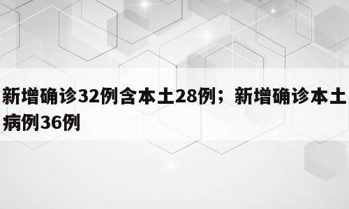 新增确诊32例含本土28例；新增确诊本土病例36例