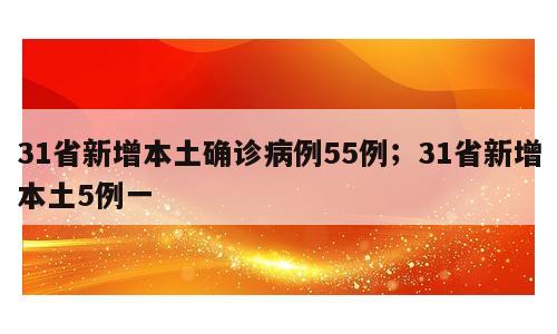 31省新增本土确诊病例55例；31省新增本土5例一