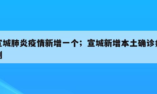 宣城肺炎疫情新增一个；宣城新增本土确诊病例
