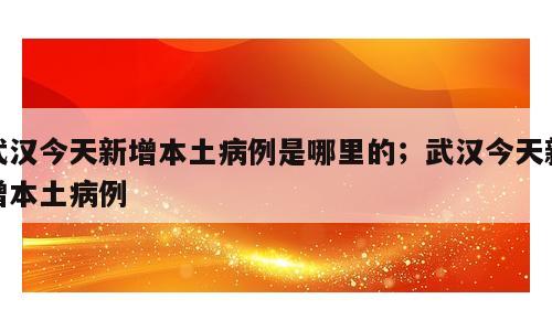 武汉今天新增本土病例是哪里的；武汉今天新增本土病例