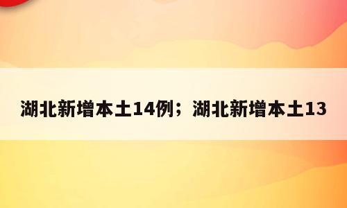 湖北新增本土14例；湖北新增本土13