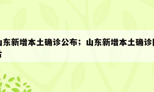山东新增本土确诊公布；山东新增本土确诊图片