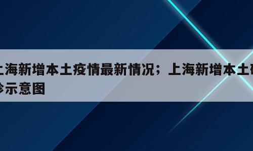 上海新增本土疫情最新情况；上海新增本土确诊示意图
