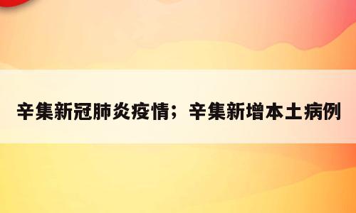辛集新冠肺炎疫情；辛集新增本土病例