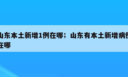 山东本土新增1例在哪；山东有本土新增病例在哪