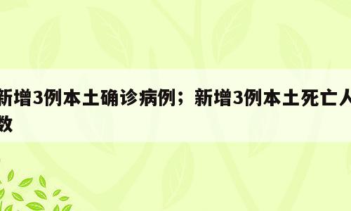 新增3例本土确诊病例；新增3例本土死亡人数