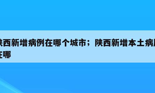 陕西新增病例在哪个城市；陕西新增本土病历在哪