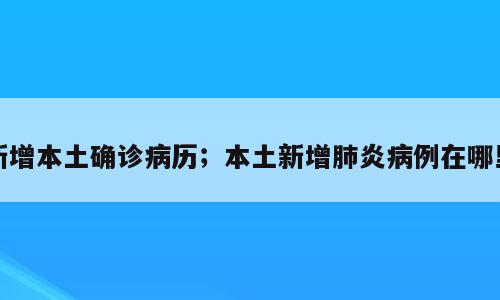 新增本土确诊病历；本土新增肺炎病例在哪里