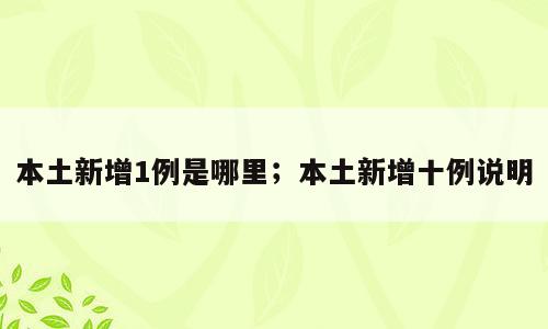 本土新增1例是哪里；本土新增十例说明