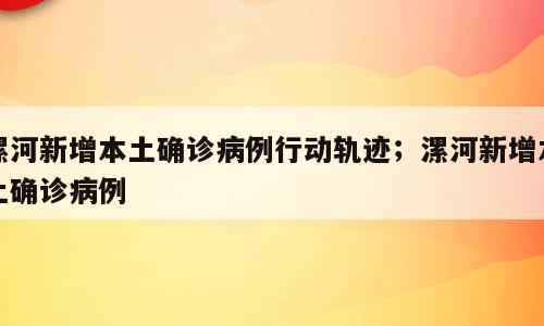 漯河新增本土确诊病例行动轨迹；漯河新增本土确诊病例
