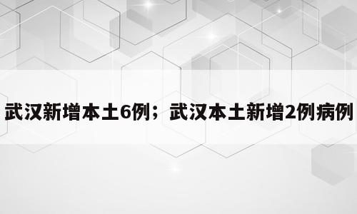 武汉新增本土6例；武汉本土新增2例病例