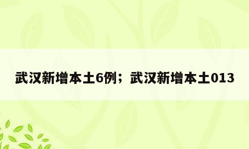 武汉新增本土6例；武汉新增本土013