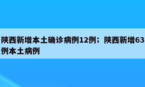 陕西新增本土确诊病例12例；陕西新增63例本土病例