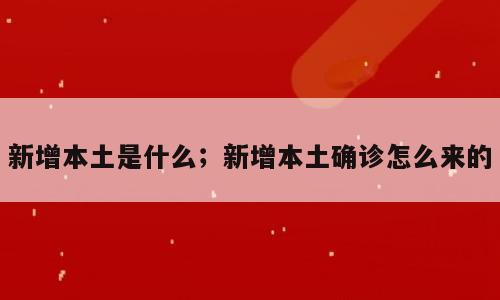 新增本土是什么；新增本土确诊怎么来的