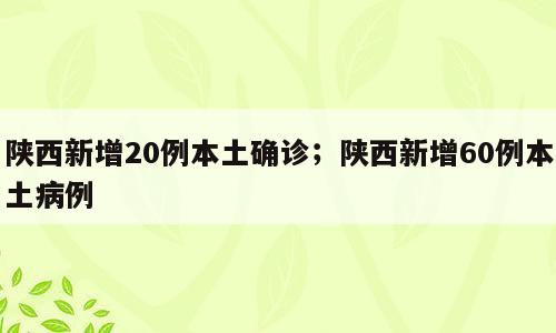 陕西新增20例本土确诊；陕西新增60例本土病例