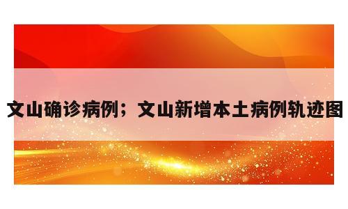 文山确诊病例；文山新增本土病例轨迹图