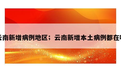 云南新增病例地区；云南新增本土病例都在哪