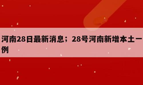 河南28日最新消息；28号河南新增本土一例
