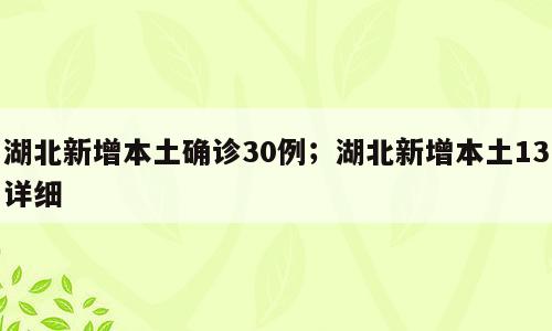 湖北新增本土确诊30例；湖北新增本土13详细