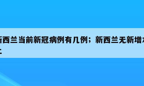 新西兰当前新冠病例有几例；新西兰无新增本土