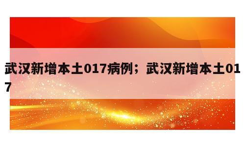 武汉新增本土017病例；武汉新增本土017