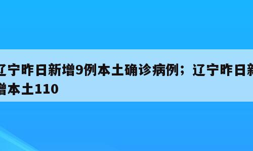 辽宁昨日新增9例本土确诊病例；辽宁昨日新增本土110