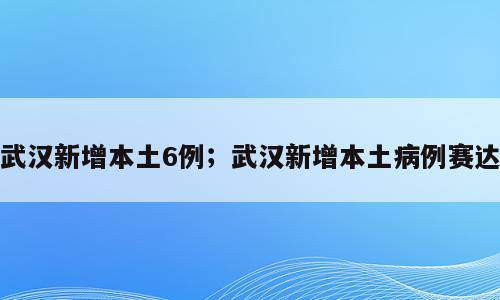 武汉新增本土6例；武汉新增本土病例赛达