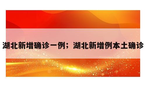 湖北新增确诊一例；湖北新增例本土确诊