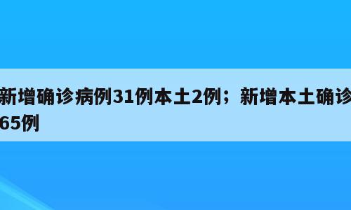 新增确诊病例31例本土2例；新增本土确诊65例