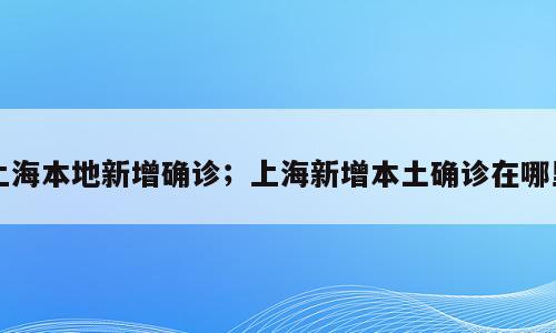 上海本地新增确诊；上海新增本土确诊在哪里