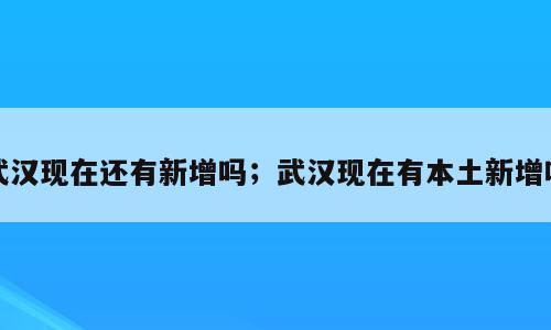 武汉现在还有新增吗；武汉现在有本土新增吗