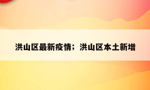 洪山区最新疫情；洪山区本土新增