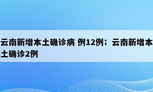 云南新增本土确诊病 例12例；云南新增本土确诊2例