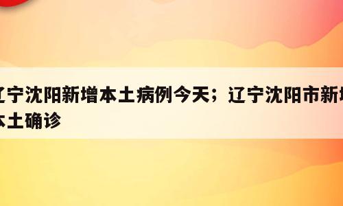 辽宁沈阳新增本土病例今天；辽宁沈阳市新增本土确诊