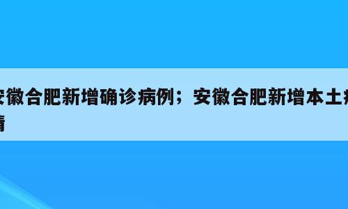 安徽合肥新增确诊病例；安徽合肥新增本土疫情