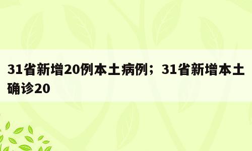 31省新增20例本土病例；31省新增本土确诊20