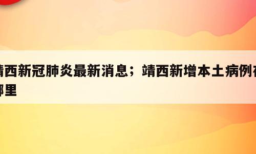 靖西新冠肺炎最新消息；靖西新增本土病例在哪里