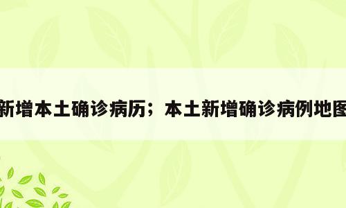 新增本土确诊病历；本土新增确诊病例地图