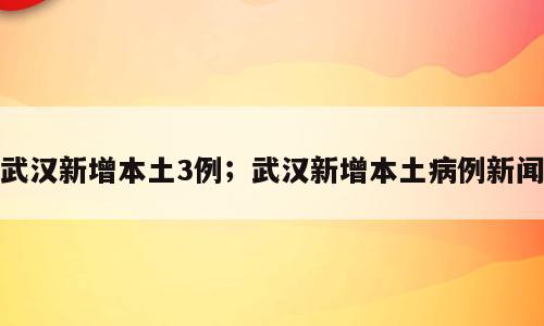武汉新增本土3例；武汉新增本土病例新闻