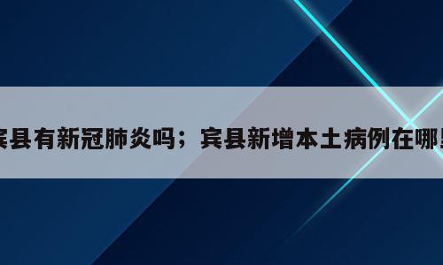 宾县有新冠肺炎吗；宾县新增本土病例在哪里