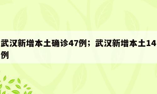 武汉新增本土确诊47例；武汉新增本土14例