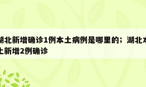 湖北新增确诊1例本土病例是哪里的；湖北本土新增2例确诊