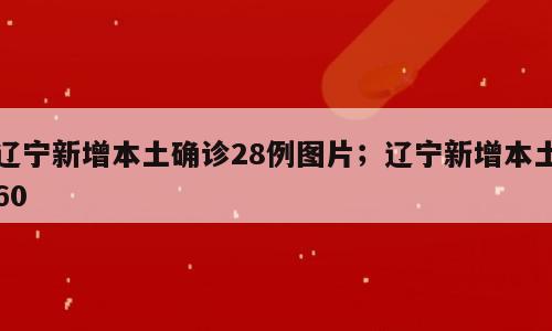 辽宁新增本土确诊28例图片；辽宁新增本土60