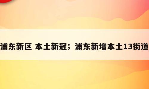 浦东新区 本土新冠；浦东新增本土13街道